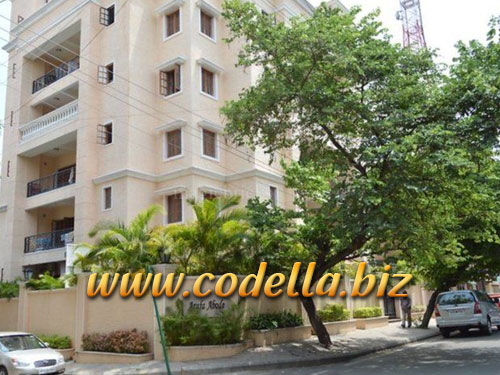 Escorts In Cooke Town