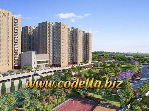 Female escorts in south bangalore